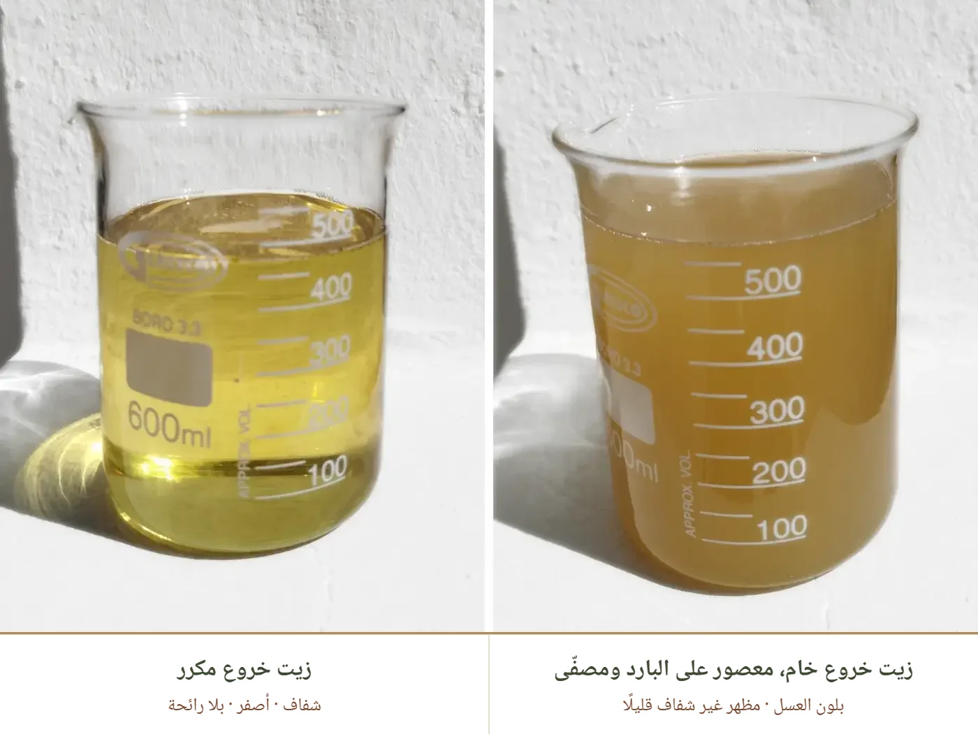 على اليسار زيت خروع مكرر أصفر وشفاف، وعلى اليمين زيت خروع خام معصور على البارد ومصفّى بلون العسل ومظهر غير شفاف قليلًا